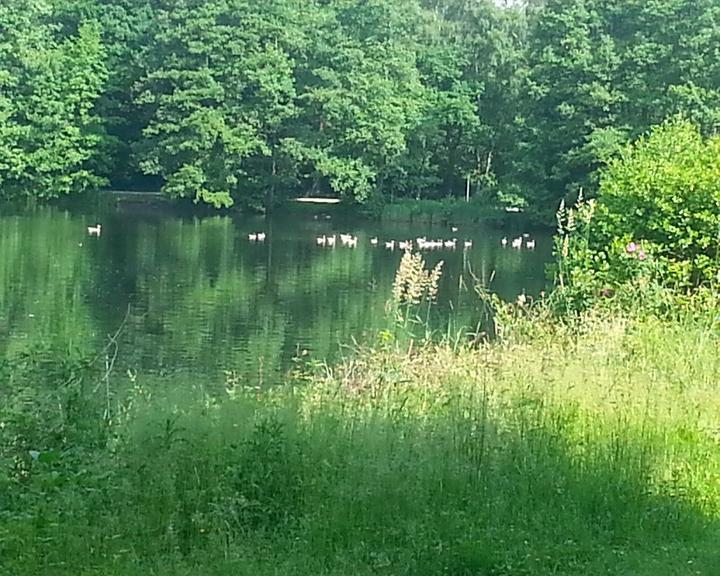 Cafe-Restaurant am Rubbenbruchsee